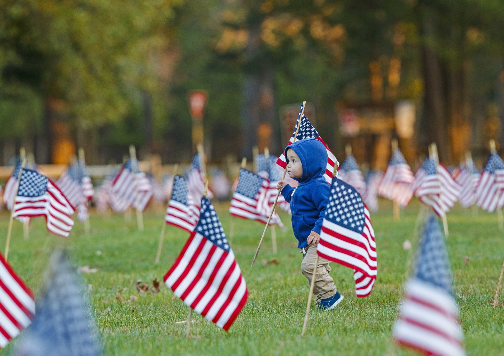 Scouts planted American Flags ahead of Veteran Day